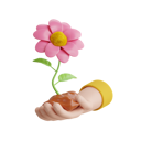 پیش‌نمایش فایل flower-in-hand-8594428 از پک بهار