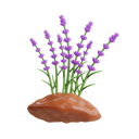 پیش‌نمایش فایل lavender-plant-8594427 از پک بهار
