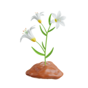 پیش‌نمایش فایل lily-plant-8594441 از پک بهار