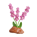 پیش‌نمایش فایل orchid-plant-8594432 از پک بهار