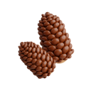 پیش‌نمایش فایل pine-cone-8594422 از پک بهار