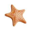 پیش‌نمایش فایل starfish-8760047 از پک تابستان