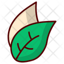 پیش‌نمایش فایل leaf-9311394 از پک تابستان