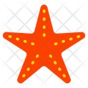 پیش‌نمایش فایل starfish-9372612 از پک تابستان