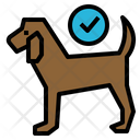 پیش‌نمایش فایل pet-allowance-4114776 از پک هتل و مهمان نوازی