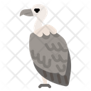 پیش‌نمایش فایل vulture-5052617 از پک غرب وحشی