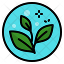 پیش‌نمایش فایل plant-based-food-5328876 از پک وگان