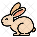 پیش‌نمایش فایل rabbit-5328871 از پک وگان