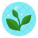 پیش‌نمایش فایل plant-based-food-5328901 از پک وگان