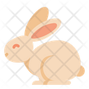 پیش‌نمایش فایل rabbit-5328896 از پک وگان
