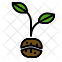 پیش‌نمایش فایل planting-coffee-1 از پک قهوه