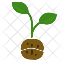 پیش‌نمایش فایل planting-coffee-2 از پک قهوه