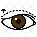 پیش‌نمایش فایل eyelid-surgery-7283604 از پک چشم