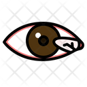 پیش‌نمایش فایل pterygium-7283621 از پک چشم