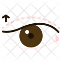 پیش‌نمایش فایل eyelid-surgery-7283650 از پک چشم