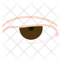 پیش‌نمایش فایل ptosis-7283668 از پک چشم