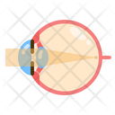 پیش‌نمایش فایل vision-7283676 از پک چشم