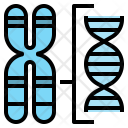 پیش‌نمایش فایل chromosome-structure-1 از پک ژنتیک و وراثت