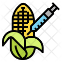 پیش‌نمایش فایل corn-gmo-1 از پک ژنتیک و وراثت