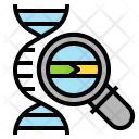 پیش‌نمایش فایل dna-structure-2 از پک ژنتیک و وراثت