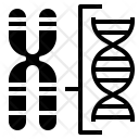 پیش‌نمایش فایل chromosome-structure-3 از پک ژنتیک و وراثت