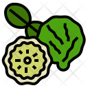 پیش‌نمایش فایل bergamot-1 از پک رایحه‌های طبیعی