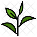 پیش‌نمایش فایل green-tea-3 از پک رایحه‌های طبیعی