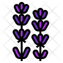 پیش‌نمایش فایل lavender-flower-1 از پک رایحه‌های طبیعی
