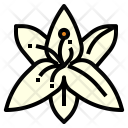 پیش‌نمایش فایل lily-flower-3 از پک رایحه‌های طبیعی