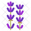 پیش‌نمایش فایل lavender از پک رایحه‌های طبیعی