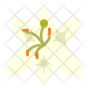 پیش‌نمایش فایل lily-flower-4 از پک رایحه‌های طبیعی