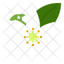 پیش‌نمایش فایل neroli-2 از پک رایحه‌های طبیعی