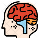 پیش‌نمایش فایل brain-neurology از پک آموزش و پرورش