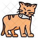 پیش‌نمایش فایل cat-8198736 از پک شیلات