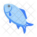 پیش‌نمایش فایل dead-fish-8198769 از پک شیلات