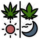 پیش‌نمایش فایل cannabis-usage از پک ماری‌جوانای پزشکی