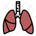 پیش‌نمایش فایل lung-27 از پک ماری‌جوانای پزشکی