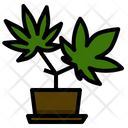 پیش‌نمایش فایل marijuana-plant-1 از پک ماری‌جوانای پزشکی