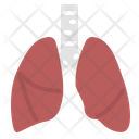پیش‌نمایش فایل lung-29 از پک ماری‌جوانای پزشکی