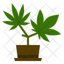 پیش‌نمایش فایل marijuana-growing از پک ماری‌جوانای پزشکی