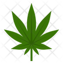 پیش‌نمایش فایل marijuana-sativa-4 از پک ماری‌جوانای پزشکی