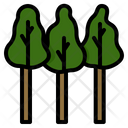 پیش‌نمایش فایل eucalyptus-trees-9820029 از پک صنعت چوب و کاغذ