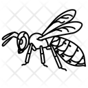 پیش‌نمایش فایل hornet-10273144 از پک حشرات