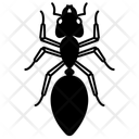 پیش‌نمایش فایل ant-10273103 از پک حشرات