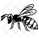 پیش‌نمایش فایل hornet-10273116 از پک حشرات