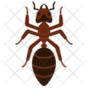 پیش‌نمایش فایل ant-10273075 از پک حشرات