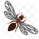 پیش‌نمایش فایل ant-10273077 از پک حشرات