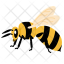 پیش‌نمایش فایل bee-10273078 از پک حشرات