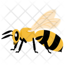 پیش‌نمایش فایل bee-10273079 از پک حشرات