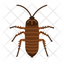 پیش‌نمایش فایل cockroach-10273081 از پک حشرات